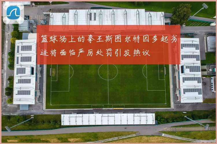 篮球场上的拳王斯图尔特因多起劣迹将面临严厉处罚引发热议
